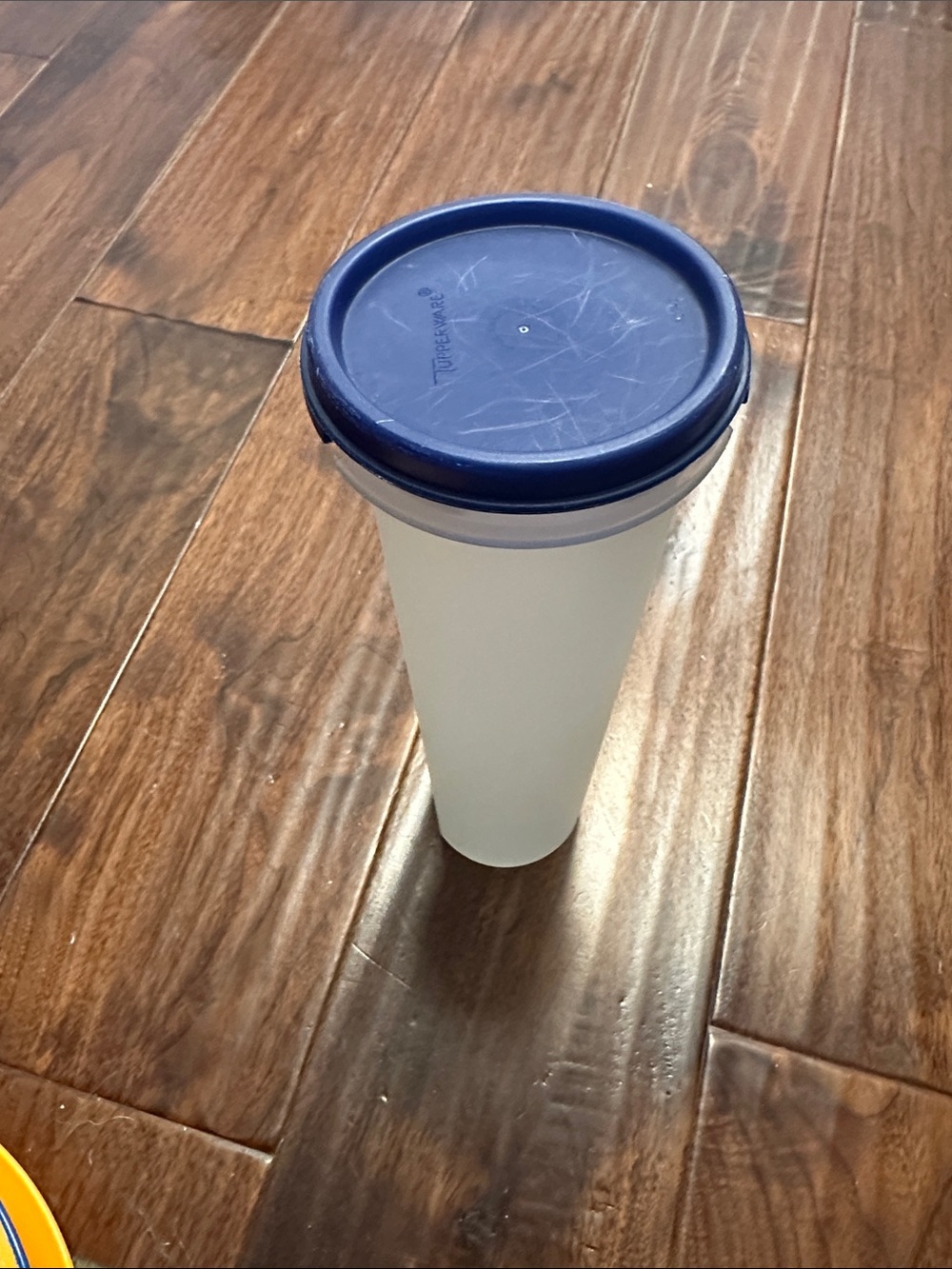Tupperware Spaghetti Container